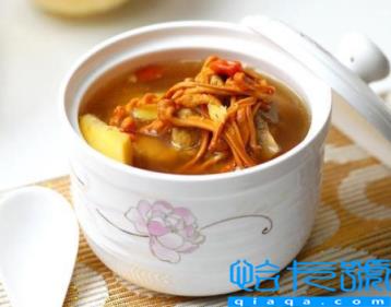 鸽子汤的营养在汤里还是肉里(鸽子汤是汤有营养还是鸽子肉有营养)