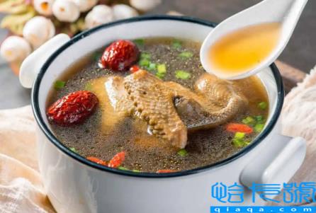 鸽子汤不能放什么食材一起炖(炖鸽子忌放什么东西)