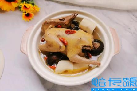 炖鸽子汤不能放什么调料(炖鸽子最忌三种调料)