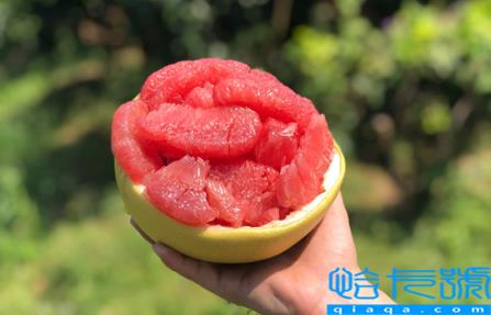 柚子里面有黄色胶状是坏了吗(柚子里有黄色胶状物正常吗)