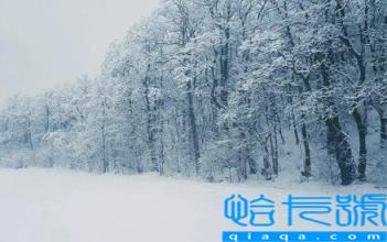 今年元旦北京会下雪吗2023(北京元旦天气怎么样)