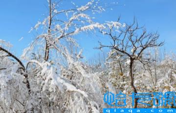 今年元旦北京会下雪吗2023(北京元旦天气怎么样)