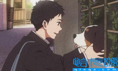 男朋友连一些基本知识都不懂正常吗(男朋友连一些基本知识都不懂还很幼稚怎么办)