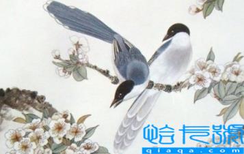 2023年生肖马运势怎么样(2023年哪个生肖最不好)