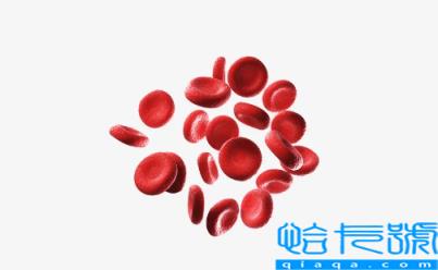 红细胞计数3.74是什么意思(红细胞计数3.74需要补铁吗)