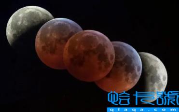 11月8日月全食每个地方都能见到吗(11月8日月全食哪个地区可见范围广)