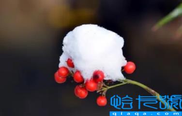 2022小雪这天下雪好还是晴天好(小雪这天下雪以后天气怎么样)