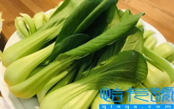 小雪节气能不能种油菜(小雪节气还能种什么菜)