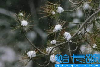 2022小雪节气是初冬吗(小雪节气是冬季的第几个节气)