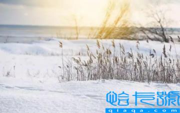2022小雪节气是初冬吗(小雪节气是冬季的第几个节气)