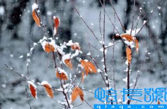 2022小雪节气是初冬吗(小雪节气是冬季的第几个节气)