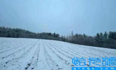 2022小雪过后就开始数九了吗(小雪过后什么时候数九)