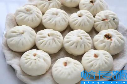 牛肉馅包子放啥菜绝配(牛肉馅包子配什么菜好吃)