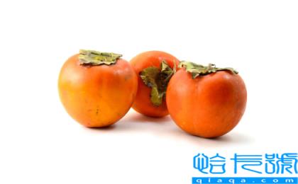 送柿子的寓意是什么意思(送柿子有什么不好的寓意吗)