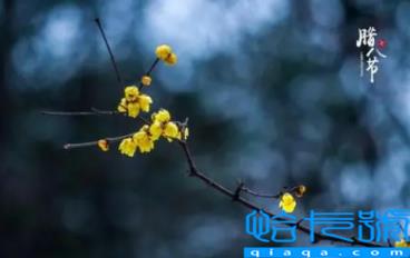 腊八节烧纸好不好(腊八节有必要烧纸吗)