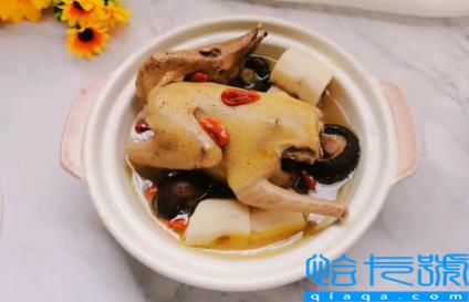 鸽子汤加什么不上火还有营养(鸽子汤怎么炖不上火)