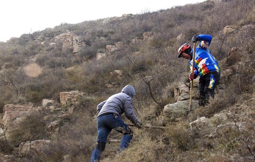 世界上第一漂亮的蝴蝶图片（真正的冰蝴蝶图片）