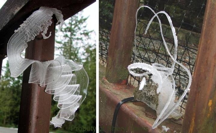 世界上第一漂亮的蝴蝶图片（真正的冰蝴蝶图片）