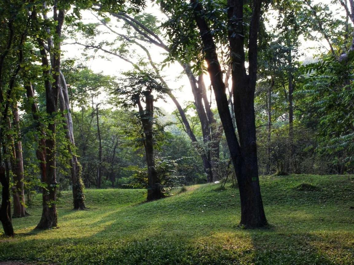 广州玩的地方有哪些地方长隆(广州旅游必去十大景点)
