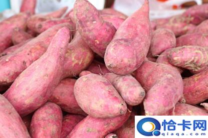 红薯怎么蒸(蒸红薯的掌握技巧)