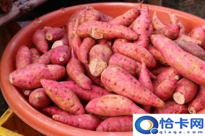 红薯怎么蒸(蒸红薯的掌握技巧)