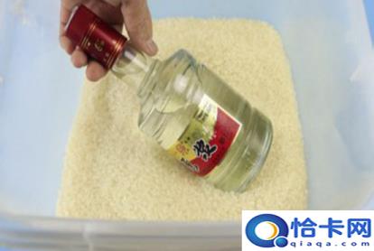 大米长虫了怎么办(大米长虫了的解决方法)