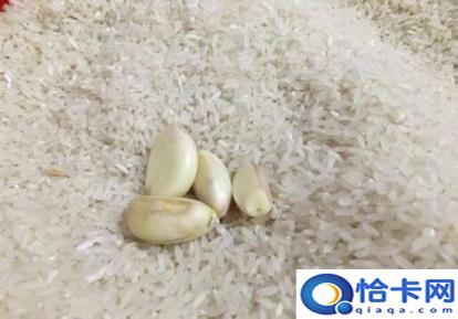 大米长虫了怎么办(大米长虫了的解决方法)