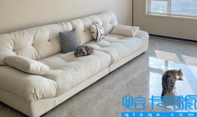 2米8的沙发适合多大客厅(2米8的沙发配1米3的茶几会不会大)