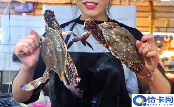 螃蟹女是什么意思(螃蟹女的表现及特征)