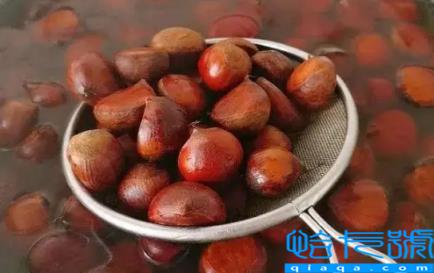 熟板栗变硬了怎么变软(熟板栗变硬了如何让它回软)