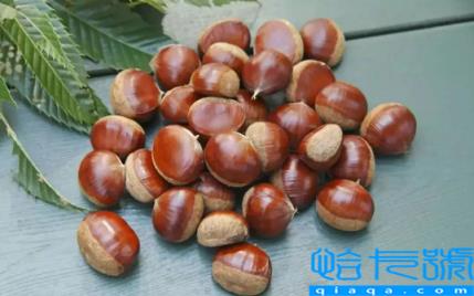 炒熟的板栗怎么保存不会坏还新鲜(炒熟的板栗放哪里保存好)