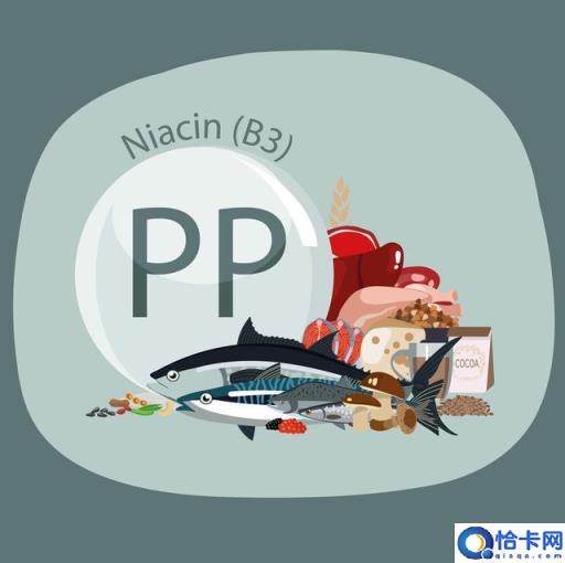pp材质是什么材料(pp材质用途及优势有哪些)