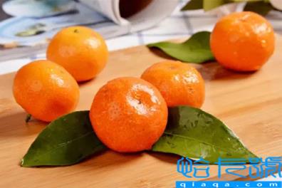 烤橘子治咳嗽要注意几点(烤橘子止咳有什么禁忌)