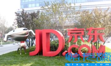 京东双十二plus会员券能买显卡吗(京东双十二plus会员券会有吗)