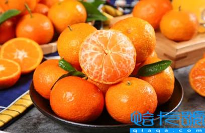 砂糖橘烤一下止咳吗(砂糖橘烤着吃止咳效果好吗)