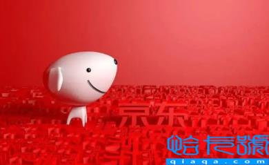 2022京东双十二优惠券算在保价里吗(京东双十二用了优惠卷还能不能保价)