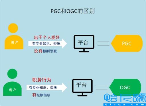 ppc是什么意思(电商ppc是什么意思)