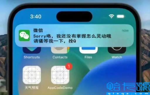 iPhone14(iphone14预计上市时间)