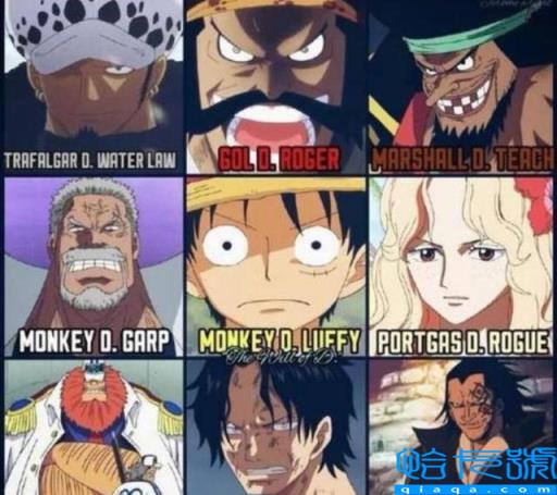 onepiece什么意思(海贼王索隆)