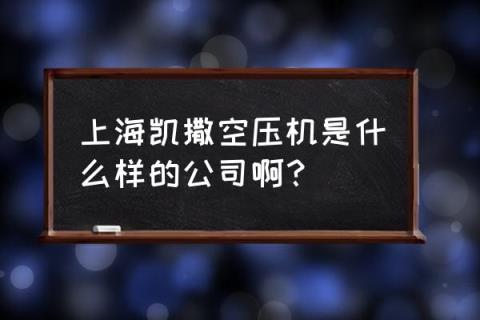 凯撒空压机介绍 上海凯撒空压机是什么样的公司啊？