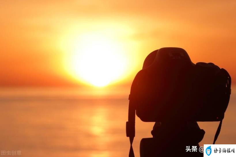 单反相机和数码相机的区别(单反相机摄影入门知识)