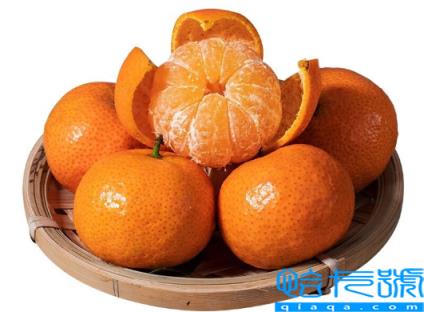 砂糖橘烤着吃好还是生吃好(砂糖橘烤着吃有什么作用)