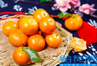 砂糖橘烤着吃好还是生吃好(砂糖橘烤着吃有什么作用)