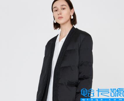 鹅绒服能用挂烫机熨烫吗(鹅绒服用挂烫机好不好)