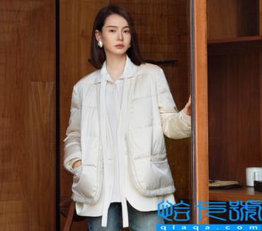 鹅绒服能用挂烫机熨烫吗(鹅绒服用挂烫机好不好)