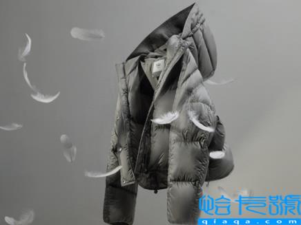 鹅绒一般比鸭绒贵多少(鹅绒服为啥比羽绒服贵)
