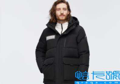 鹅绒一般比鸭绒贵多少(鹅绒服为啥比羽绒服贵)