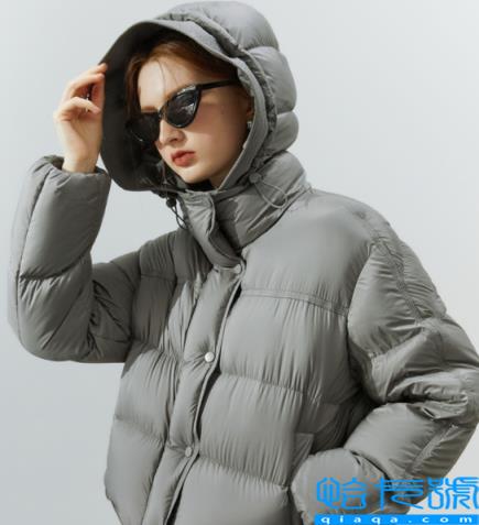 鹅绒一般比鸭绒贵多少(鹅绒服为啥比羽绒服贵)