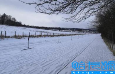 2023年春节北京会下雪吗(​北京每年什么时候降雪多)