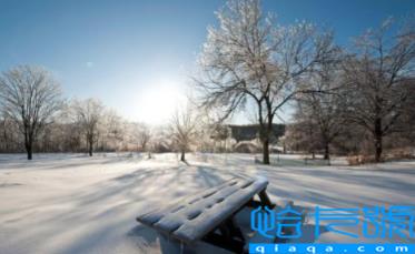 2023年春节北京会下雪吗(​北京每年什么时候降雪多)